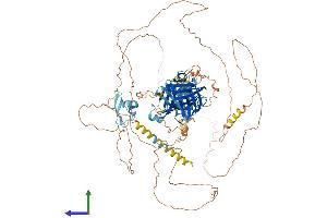 AlphaFold protein structure predicition of Mouse Recombinant Ncoa7 Protein, UniprotID Q6DFV7
