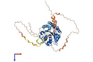 AlphaFold protein structure predicition of Human Recombinant PCED1A Protein, UniprotID Q9H1Q7