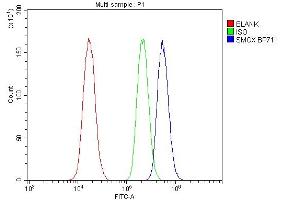 Flow Cytometry analysis of PC-3 cells using anti-SMOX antibody (ABIN7601652). (SMOX anticorps  (AA 40-555))