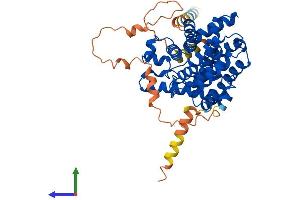 AlphaFold protein structure predicition of Mouse Recombinant Pde7a Protein, UniprotID P70453