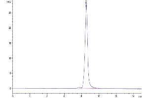 The purity of Human TNFSF15 Trimer is greater than 95 % as determined by SEC-HPLC.