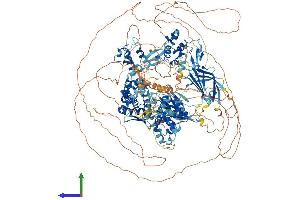 AlphaFold protein structure predicition of Mouse Recombinant Hecw2 Protein, UniprotID Q6I6G8