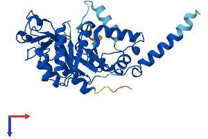 AlphaFold protein structure predicition of Human Recombinant GDPD3 Protein, UniprotID Q7L5L3
