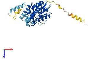 AlphaFold protein structure predicition of Human Recombinant GPN3 Protein, UniprotID Q9UHW5