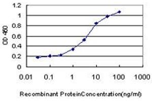 ELISA image for anti-N-Methylpurine-DNA Glycosylase (MPG) (AA 1-90) antibody (ABIN598819) (MPG anticorps  (AA 1-90))