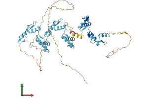 AlphaFold protein structure predicition of Human Recombinant ZNF572 Protein, UniprotID Q7Z3I7