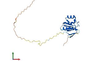 AlphaFold protein structure predicition of Mouse Recombinant Ndufaf3 Protein, UniprotID Q9JKL4