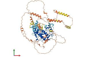 AlphaFold protein structure predicition of Human Recombinant MAPK6 Protein, UniprotID Q16659