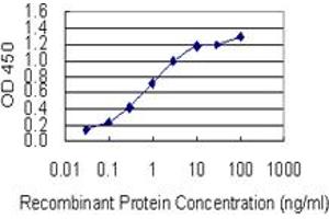 Detection limit for recombinant GST tagged SYT13 is 0.