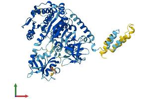 AlphaFold protein structure predicition of Human Recombinant SLC27A5 Protein, UniprotID Q9Y2P5