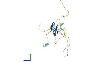 AlphaFold protein structure predicition of Mouse Recombinant Nup35 Protein, UniprotID Q8R4R6