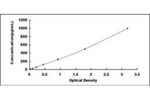 Granzyme B (GZMB) ELISA Kit