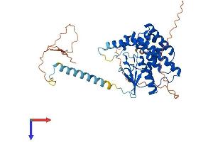 AlphaFold protein structure predicition of Mouse Recombinant Faxc Protein, UniprotID Q3UMF9