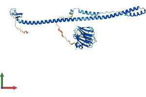 AlphaFold protein structure predicition of Human Recombinant TRIM14 Protein, UniprotID Q14142