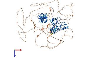 AlphaFold protein structure predicition of Human Recombinant SH3RF1 Protein, UniprotID Q7Z6J0