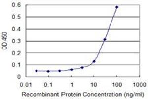Detection limit for recombinant GST tagged AK1 is approximately 10ng/ml as a capture antibody. (Adenylate Kinase 1 anticorps  (AA 1-194))
