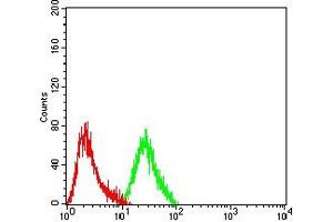 Flow cytometric analysis of Hela cells using MLH1 mouse mAb (green) and negative control (red).