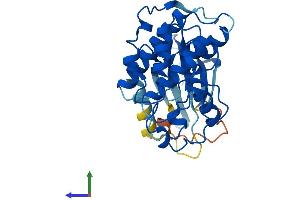 AlphaFold protein structure predicition of Human Recombinant CDK2 Protein, UniprotID P24941