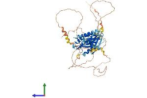 AlphaFold protein structure predicition of Mouse Recombinant Sh2b3 Protein, UniprotID O09039