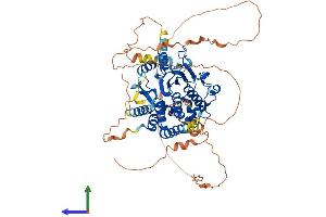 AlphaFold protein structure predicition of Mouse Recombinant Mtmr14 Protein, UniprotID Q8VEL2