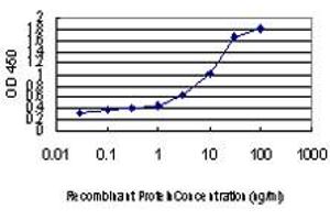 Detection limit for recombinant GST tagged IRX3 is approximately 0.