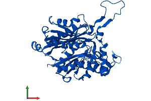 AlphaFold protein structure predicition of Human Recombinant ACAA2 Protein, UniprotID P42765