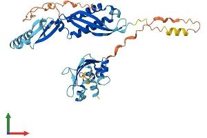 AlphaFold protein structure predicition of Mouse Recombinant Stoml1 Protein, UniprotID Q8CI66