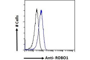 ABIN185537 Flow cytometric analysis of paraformaldehyde fixed HeLa cells (blue line), permeabilized with 0.