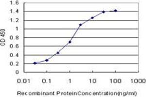 Detection limit for recombinant GST tagged MAGI2 is approximately 0.