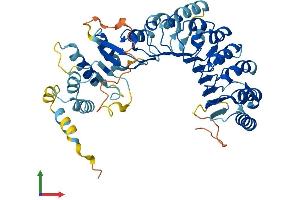 AlphaFold protein structure predicition of Human Recombinant PRAMEF13 Protein, UniprotID Q5VWM6