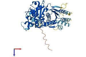 AlphaFold protein structure predicition of Mouse Recombinant Trip13 Protein, UniprotID Q3UA06