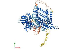 AlphaFold protein structure predicition of Mouse Recombinant Acoxl Protein, UniprotID Q9DBS4