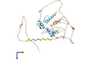 AlphaFold protein structure predicition of Human Recombinant WT1 Protein, UniprotID P19544