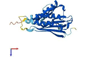 AlphaFold protein structure predicition of Human Recombinant MAD2L2 Protein, UniprotID Q9UI95