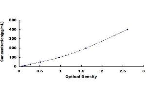 ELISA image for Regenerating Islet-Derived 3 alpha (REG3A) ELISA Kit (ABIN1572162) (REG3A Kit ELISA)