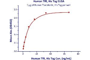 Immobilized Human Transferrin, His Tag  with a linear range of 0. (Transferrin Receptor Protein (AA 89-760) (His tag))