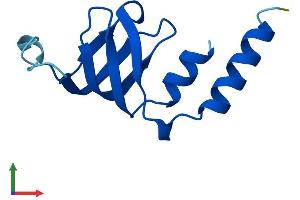 AlphaFold protein structure predicition of Mouse Recombinant Lsm2 Protein, UniprotID O35900