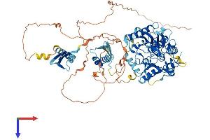 AlphaFold protein structure predicition of Human Recombinant ADARB2 Protein, UniprotID Q9NS39