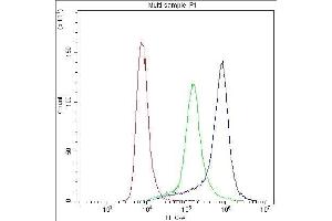 Flow Cytometry analysis of THP-1 cells using anti- P-Selectin antibody .