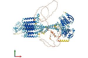 AlphaFold protein structure predicition of Mouse Recombinant Adcy5 Protein, UniprotID P84309