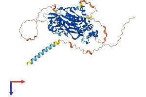 AlphaFold protein structure predicition of Mouse Recombinant Mgat3 Protein, UniprotID Q10470