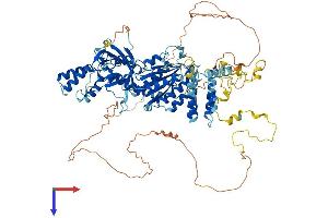 AlphaFold protein structure predicition of Human Recombinant INTS6 Protein, UniprotID Q9UL03
