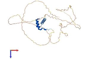 AlphaFold protein structure predicition of Human Recombinant HOXD13 Protein, UniprotID P35453