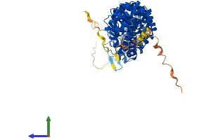 AlphaFold protein structure predicition of Human Recombinant KPNA6 Protein, UniprotID O60684