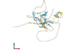 AlphaFold protein structure predicition of Human Recombinant ZNF8 Protein, UniprotID P17098