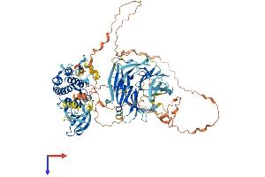AlphaFold protein structure predicition of Human Recombinant MAP4K1 Protein, UniprotID Q92918