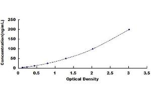 Complement Component 1, Q Subcomponent Binding Protein (C1QBP) ELISA Kit