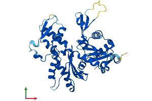 AlphaFold protein structure predicition of Human Recombinant ACTRT2 Protein, UniprotID Q8TDY3