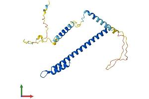 AlphaFold protein structure predicition of Mouse Recombinant Ccdc59 Protein, UniprotID Q8R2N0