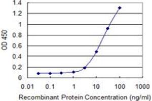 Detection limit for recombinant GST tagged EOMES is 1 ng/ml as a capture antibody. (EOMES anticorps  (AA 461-569))